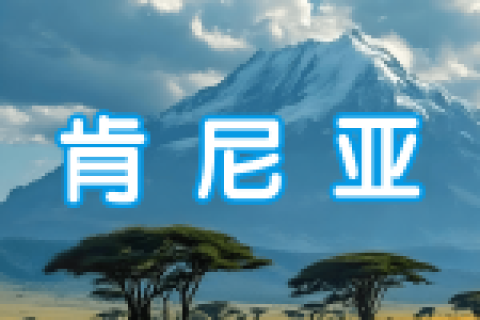 肯尼亚 | 出国签证办理流程（办理详细步骤指南）