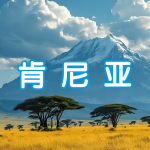 肯尼亚 | 出国签证办理流程（办理详细步骤指南）