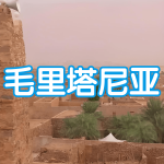 毛里塔尼亚 | 出国签证办理流程（办理详细步骤指南）