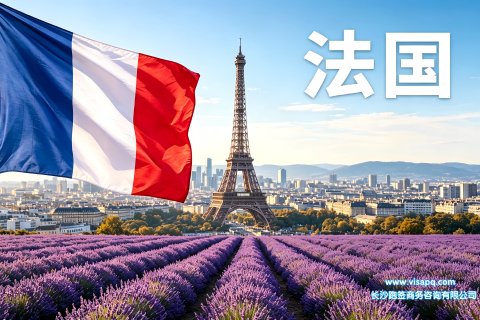 法国 | 出国签证办理流程（办理详细步骤指南）