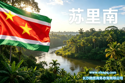 苏里南 | 出国签证办理流程（办理详细步骤指南）