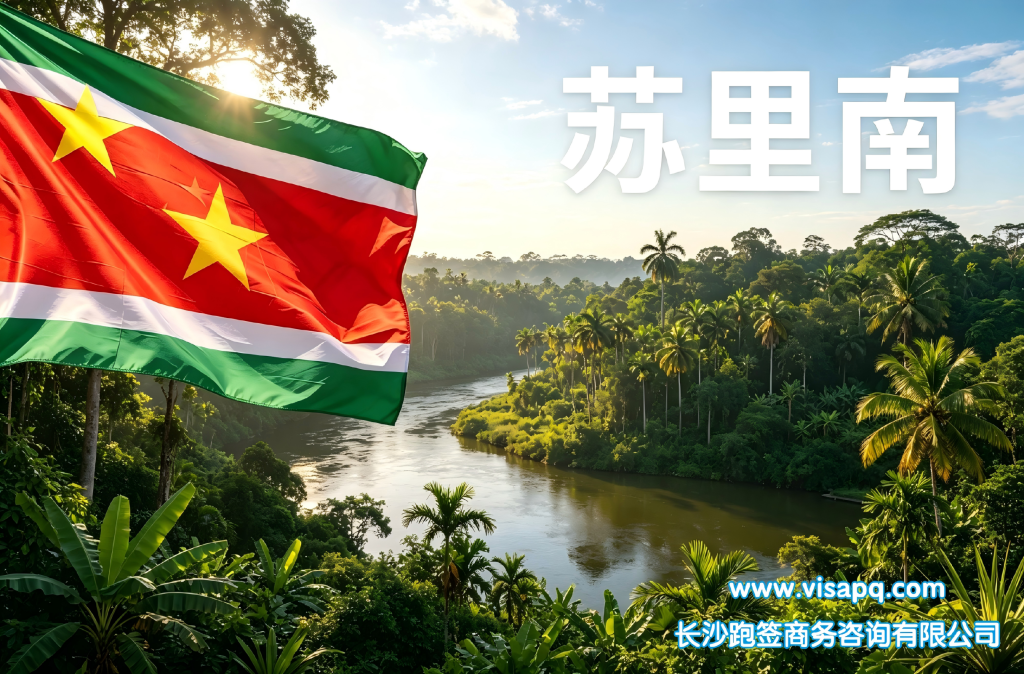 苏里南 | 出国签证办理流程（办理详细步骤指南）