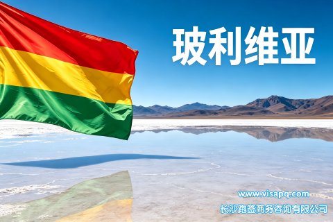玻利维亚 | 出国签证办理流程（办理详细步骤指南）