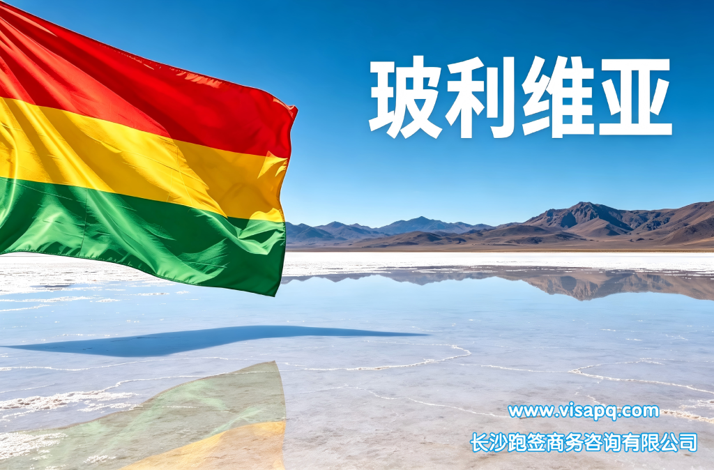 玻利维亚 | 出国签证办理流程（办理详细步骤指南）