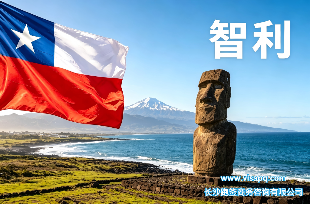 智利 | 出国签证办理流程（办理详细步骤指南）