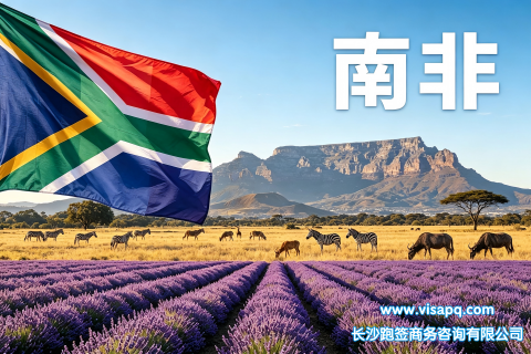 南非 | 出国签证办理流程（办理详细步骤指南）
