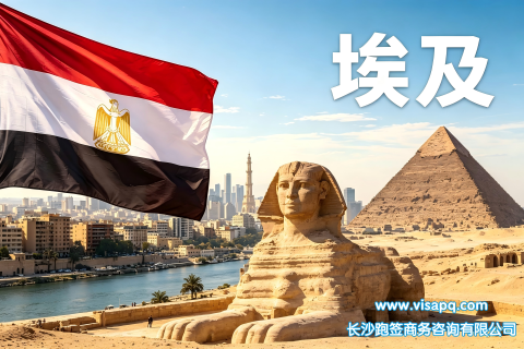 埃及 | 出国签证办理流程（办理详细步骤指南）