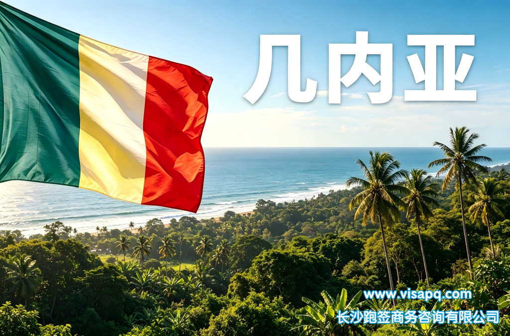 几内亚 | 出国签证办理流程（办理详细步骤指南）
