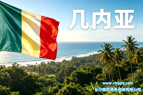 几内亚 | 出国签证办理流程（办理详细步骤指南）