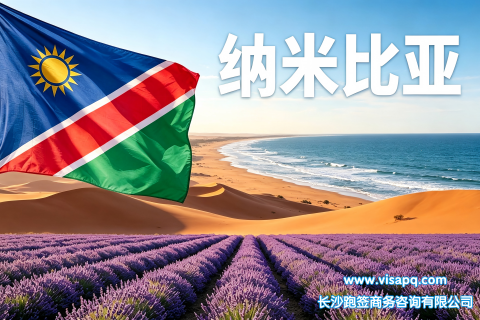 纳米比亚 | 出国签证办理流程（办理详细步骤指南）