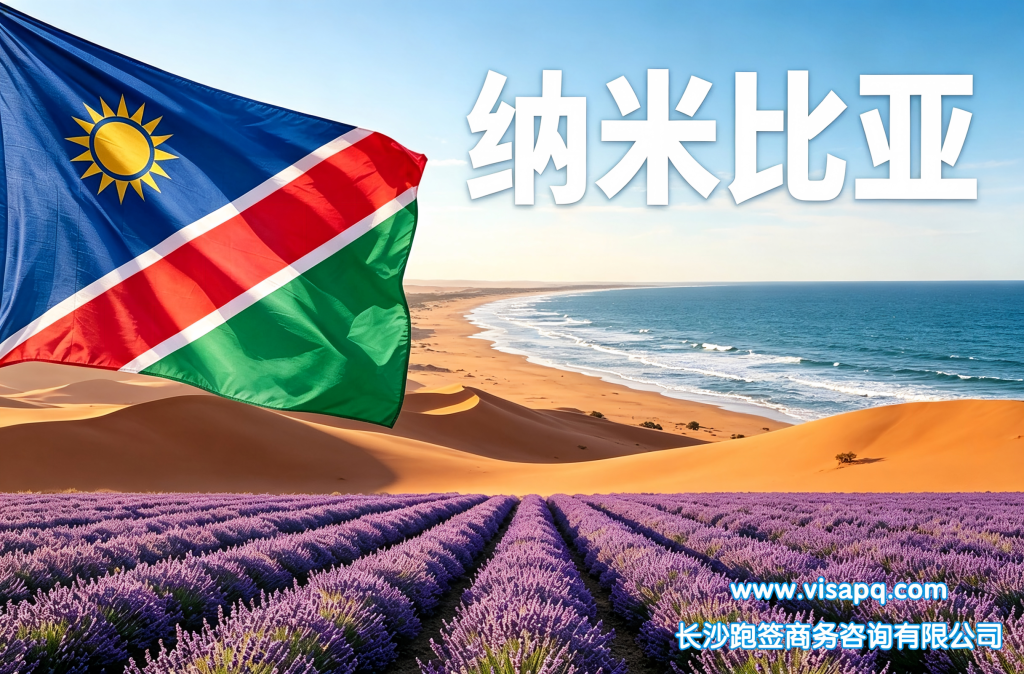 纳米比亚 | 出国签证办理流程（办理详细步骤指南）