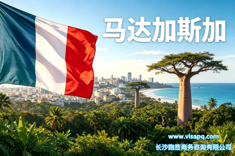 马达加斯加 | 出国签证办理流程（办理详细步骤指南）
