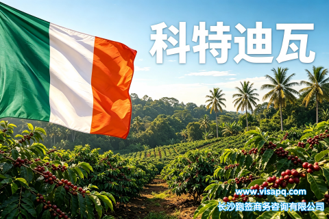 科特迪瓦 | 出国签证办理流程（办理详细步骤指南）
