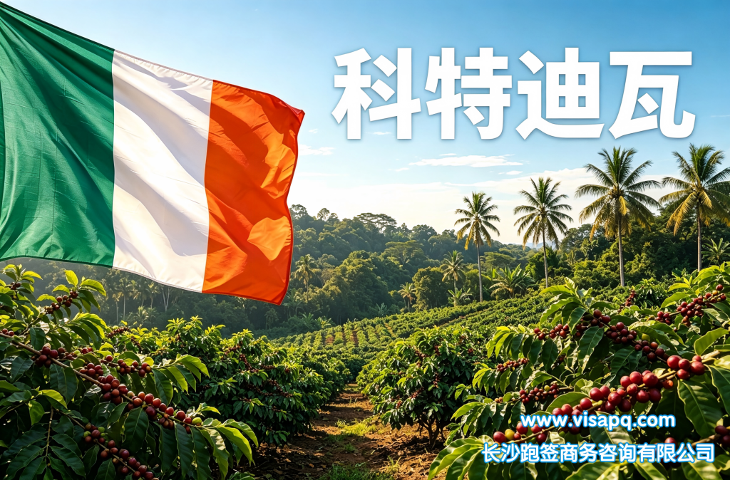 科特迪瓦 | 出国签证办理流程（办理详细步骤指南）