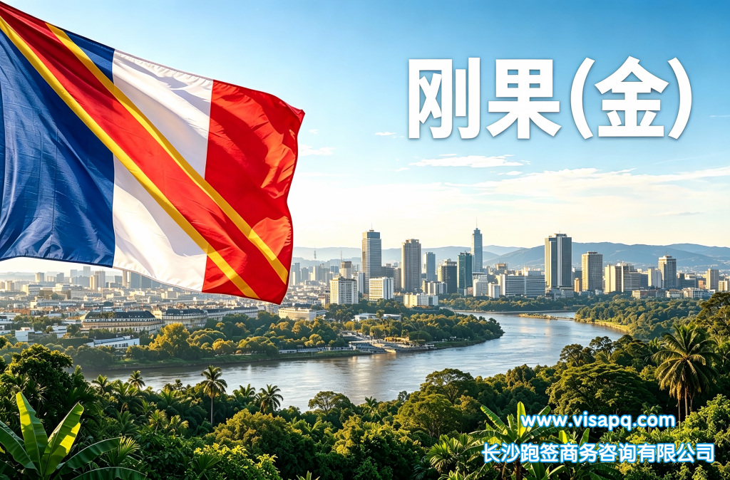 刚果(金) | 出国签证办理流程（办理详细步骤指南）