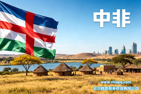 中非 | 出国签证办理流程（办理详细步骤指南）