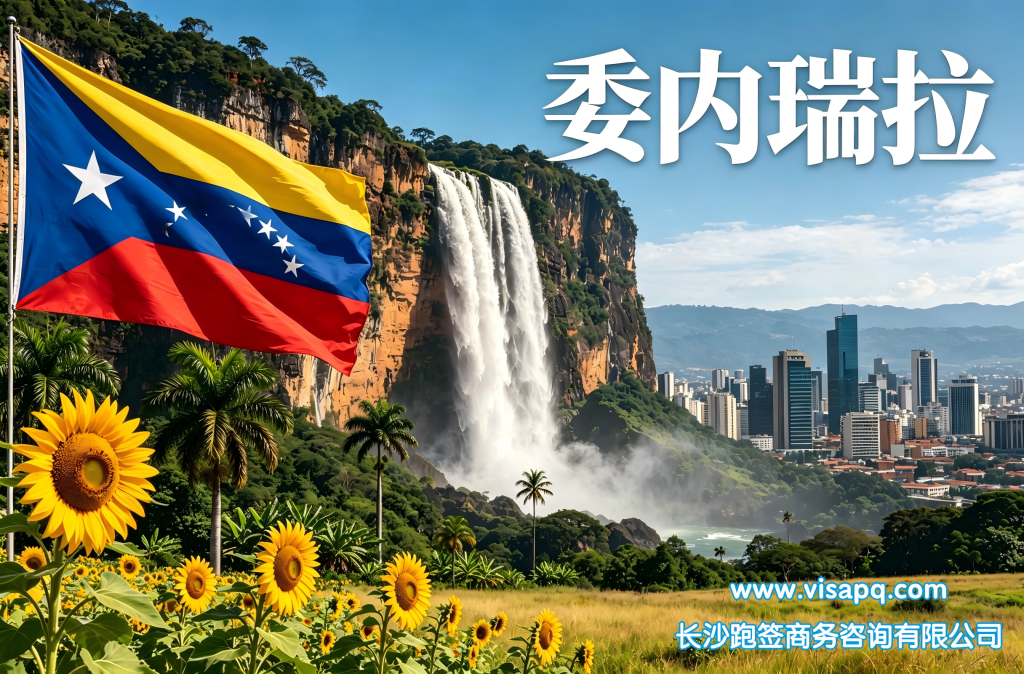 委内瑞拉 | 出国签证办理流程（办理详细步骤指南）