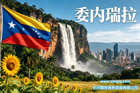 委内瑞拉 | 出国签证办理流程（办理详细步骤指南）